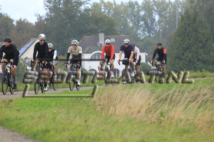 YZ12011.jpg